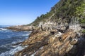 Hanging bridge over Storms River mouth, Tsitsikamma National Park Royalty Free Stock Photo