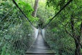 Hanging bridge in a rain forest, Guatemala Royalty Free Stock Photo