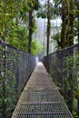 Hanging bridges adventure