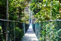 Hanging bridges in the cloud forest