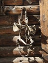 Hanging Bridle with Blinders Royalty Free Stock Photo