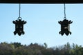 Hanging bronze lanterns in a Buddhism temple