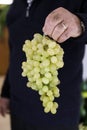 Hanging bunch of grapes