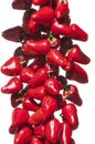 Hanging bunch of Piquillo peppers
