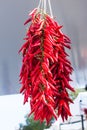 Hanging bunch of red hot chili peppers for sale at Sineu market, Majorca