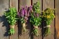 Hanging bunches of medicinal herbs and flowers on a wooden background. Herbal medicine Royalty Free Stock Photo