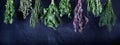 Hanging bunches of variety edible fresh herbs, banner on dark background