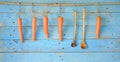 Hanging carrots and old wooden spoons Royalty Free Stock Photo