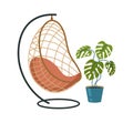 Hanging chair and tropical natural plant in pot. Vintage wicker hammock with interior green lush caladium