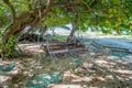 Hanging chairs and hammocks under the trees at the tropical island