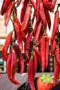 Hanging Chillis, Central Market, Piazza del Mercato Centrale, Florence, Tuscany, Italy