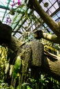 Hanging coconut fiber traditional natural small pot with orchid tree plant - indonesia Royalty Free Stock Photo