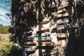Hanging coffins in Echo Valley, Sagada, Philippines Royalty Free Stock Photo