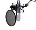 Hanging Condenser Microphone