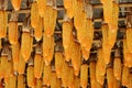 Hanging corn on ceiling