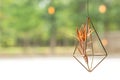 Hanging decorative flower pot near the window