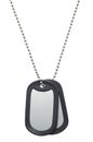 Hanging Dog Tags