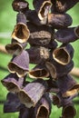 Hanging Dried Aubergines For Stuffing