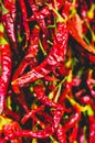 Hanging dried red hot peppers dolma