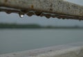 Hanging drops of water on the banisters.