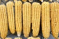 Hanging Dry Corns In A Row Royalty Free Stock Photo