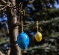 Hanging Easter Eggs