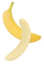 Hanging, falling, flying piece of banana fruits isolated on w