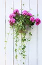 Hanging flower basket