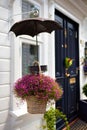 Hanging flower basket Royalty Free Stock Photo