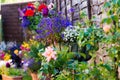 Hanging flower baskets