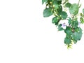 Hanging flower and plant of Thunbergia laurifolia isolated