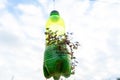 Hanging flower pot of plastic bottle, with some phulwari in it, isolated, copy space. A hanging garden Royalty Free Stock Photo