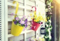 Hanging Flower Pots