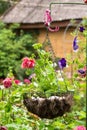 Hanging flowerpot with bright pink petunias.