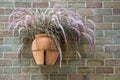 Hanging flowerpot of dry Pennisetum on a bick wall