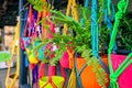 Hanging flowers in colorful pots Royalty Free Stock Photo