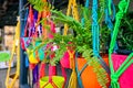 Hanging flowers in colorful pots Royalty Free Stock Photo