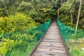 Hanging foot bridge near Taman Rata town in the Cameron Highlands, Malays Royalty Free Stock Photo