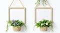 Hanging Frames Adorned With Flower Baskets Creating Rustic Aesthetic Royalty Free Stock Photo