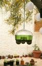 Hanging garden trap for wasps, hornets and flies Royalty Free Stock Photo