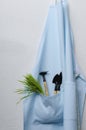 Hanging gardening apron and little shovel,rake and green fresh grass in the pocket, white wall.Vertical image