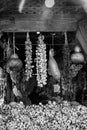 Hanging garlic for sale at Porto market Mercado do Bolhao, Portugal