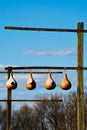 Hanging Gourd Birdhouse