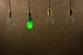 Hanging Green CFL and Incandescent Bulbs