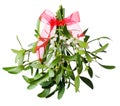 Hanging green mistletoe with a red bow Royalty Free Stock Photo