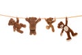 Hanging group of teddy bears on a clothing line with pegs. Royalty Free Stock Photo