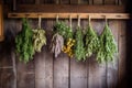 hanging herbs on rustic wooden drying rack