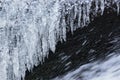 Hanging icicles above streaming water in winter Royalty Free Stock Photo