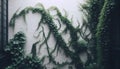 A hanging ivy vines, Ai generated image Royalty Free Stock Photo