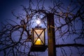 Glowing Lantern at Night Under a Full Moon Surrounded by Vines